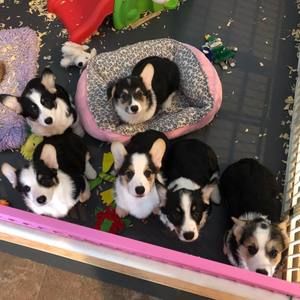 Meet your Posher, Lesa